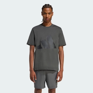 Camiseta Big Logo Sportswear - Adidas