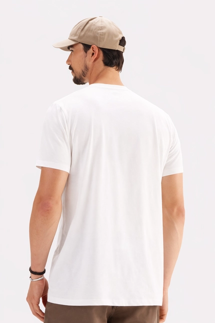 Camiseta Peletizada Estampa – Invicci
